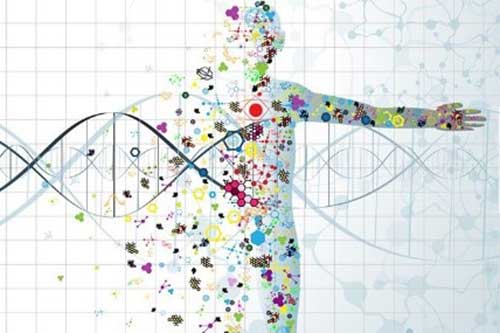 Bio-Equivalence Studies - Pre-Clinical & Clinical